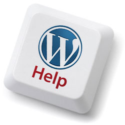 Assistenza WordPress a Vignola, Modena