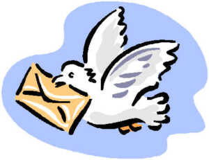 PEC obbligatoria entro 29 novembre 2011