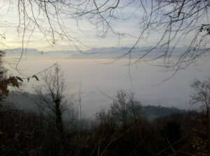 Torino sotto la nebbia dalla basilica di Superga