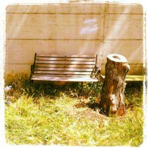 A fianco della sede INPS di Vignola