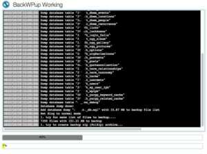 Log del plugin per il backup di WordPress