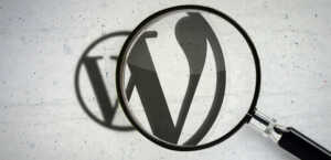 Estendere la ricerca di WordPress