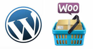Compatibilità WordPress 3.8 e WooCommerce